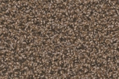 Macadam Floor and Design Carpet River