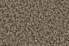 Macadam Floor and Design Carpet Spring Dale