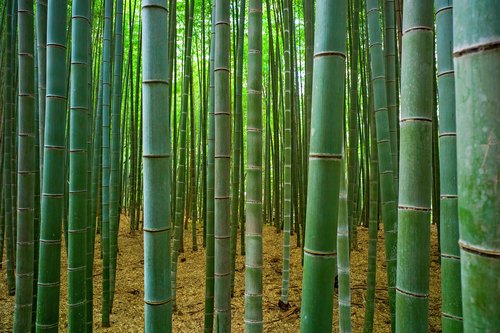 Green Product Bamboo Macadam Floor And Design